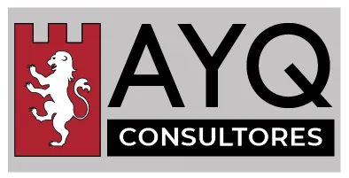 AYQ Consultores
